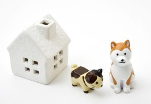 ペット保険は本当に必要?ペット保険の補償や実際にかかる費用