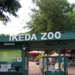 池田動物園の歴史や楽しみ方と食事とアクセスをご紹介!