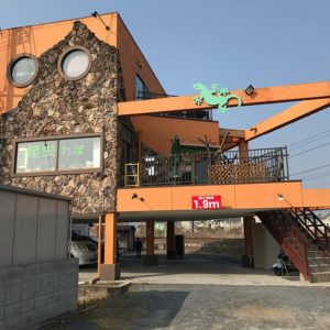倉敷市の爬虫類カフェ「爬虫　れぼ」が密かに人気、アクセスと店舗情報