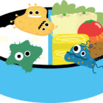 梅雨の時期の弁当の危険な理由と注意点、素材や料理方法、対策グッズ