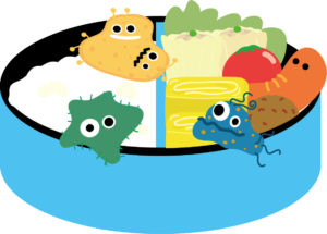 梅雨の時期の弁当の危険な理由と注意点、素材や料理方法、対策グッズ