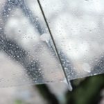 傘にも掃除が必要!傘のお手入れ方法や撥水効果を蘇らせる方法とは