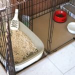 猫にケージが必要な3つの理由!注意点とおすすめケージも紹介
