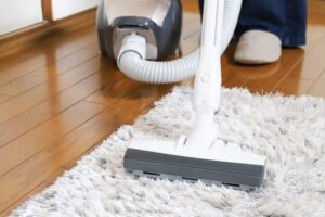 吸引力の強いキャニスター掃除機の早見表と特徴やスペック