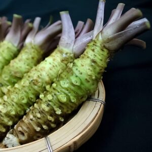 青空レストランで紹介された静岡県伊豆市の真妻わさびはどこで買える?